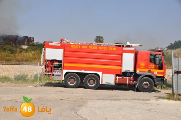 firecartoonsecnd506 (41).JPG